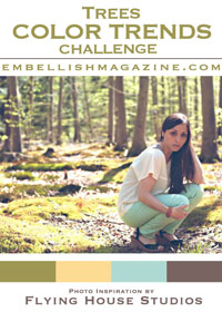 Trees color trends Challenge