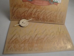 Fields of Gold corn close up