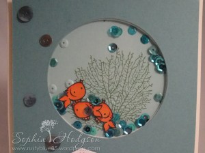 Birthday fishes shaker